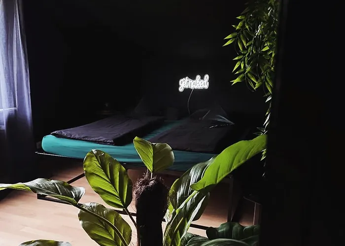 Erwachsenenhotel Bdsm Apartment Hotel Emotion Apartments Mit Privater Sauna